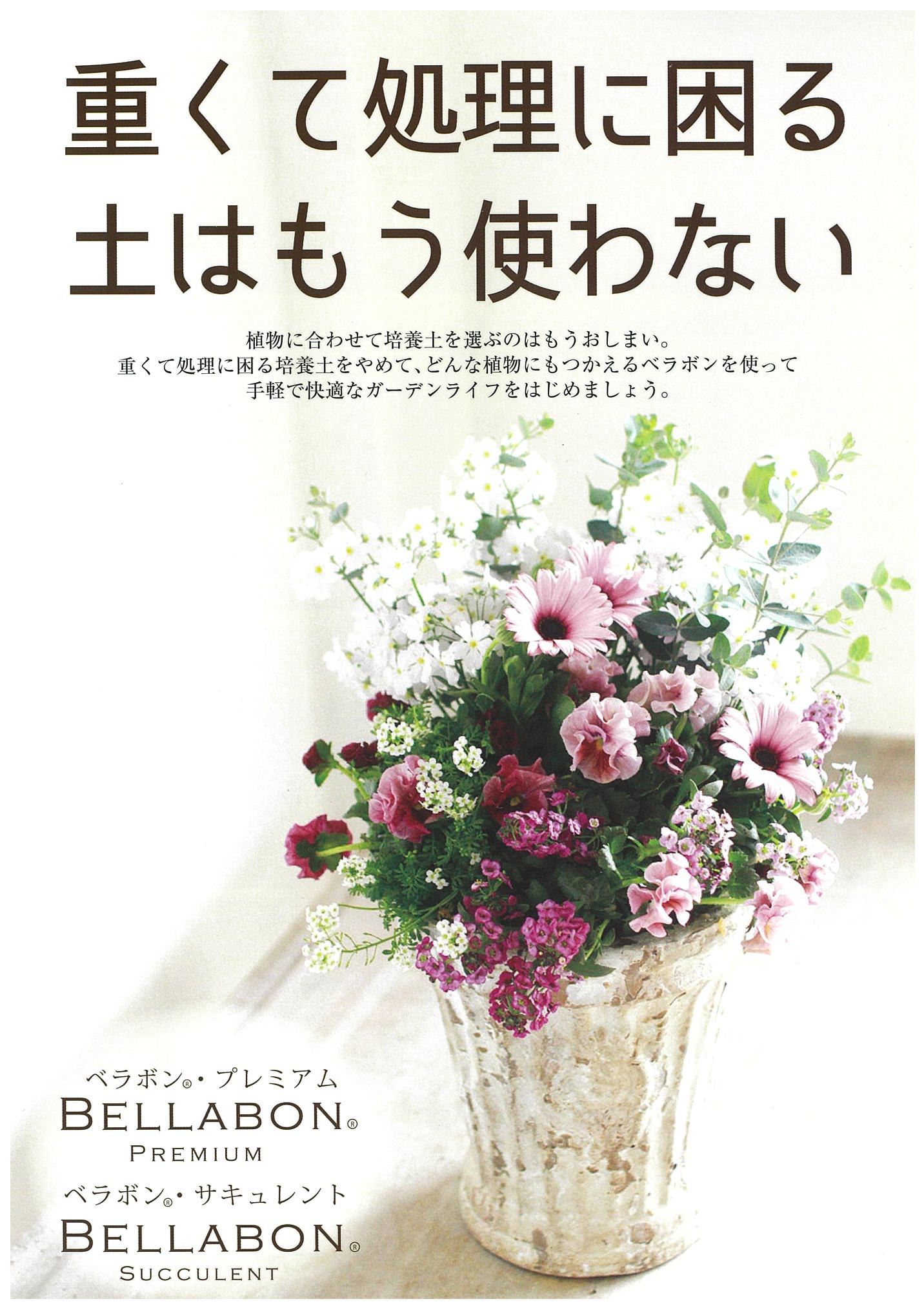 ベラボン・プレミアム』『ベラボン・サキュレント』入荷しました♪ | 株式会社 樹 暮らしを変える庭